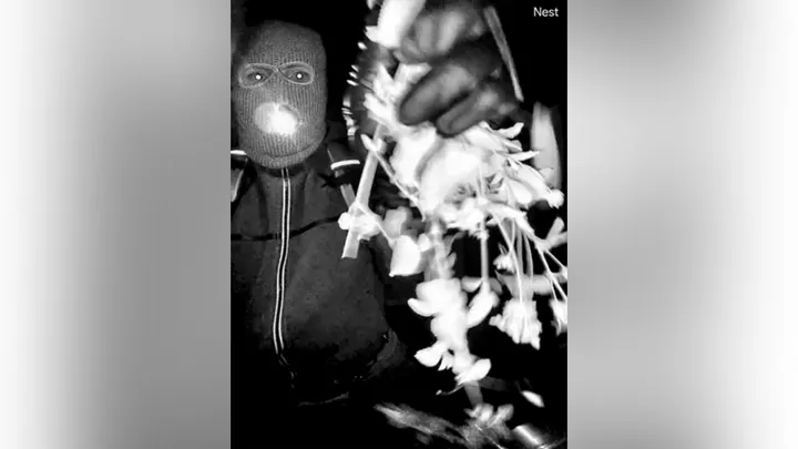 Nancy Guthrie disappearance search in Tucson