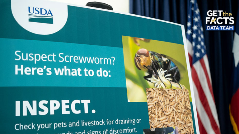 Flesh-Eating Screwworm Returns to U.S. Soil: Four Cases Confirmed as USDA Scrambles to Contain Outbreak
