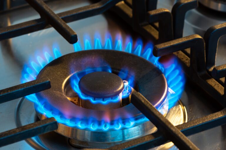 The EPA Killed a Gas Stove Study. The Partial Results Were Damning Enough.