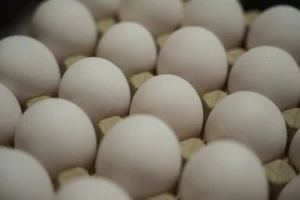19 Million Eggs Recalled Over Salmonella Risk — FDA Assigns Highest-Danger Classification as Outbreak Spreads to 17 States