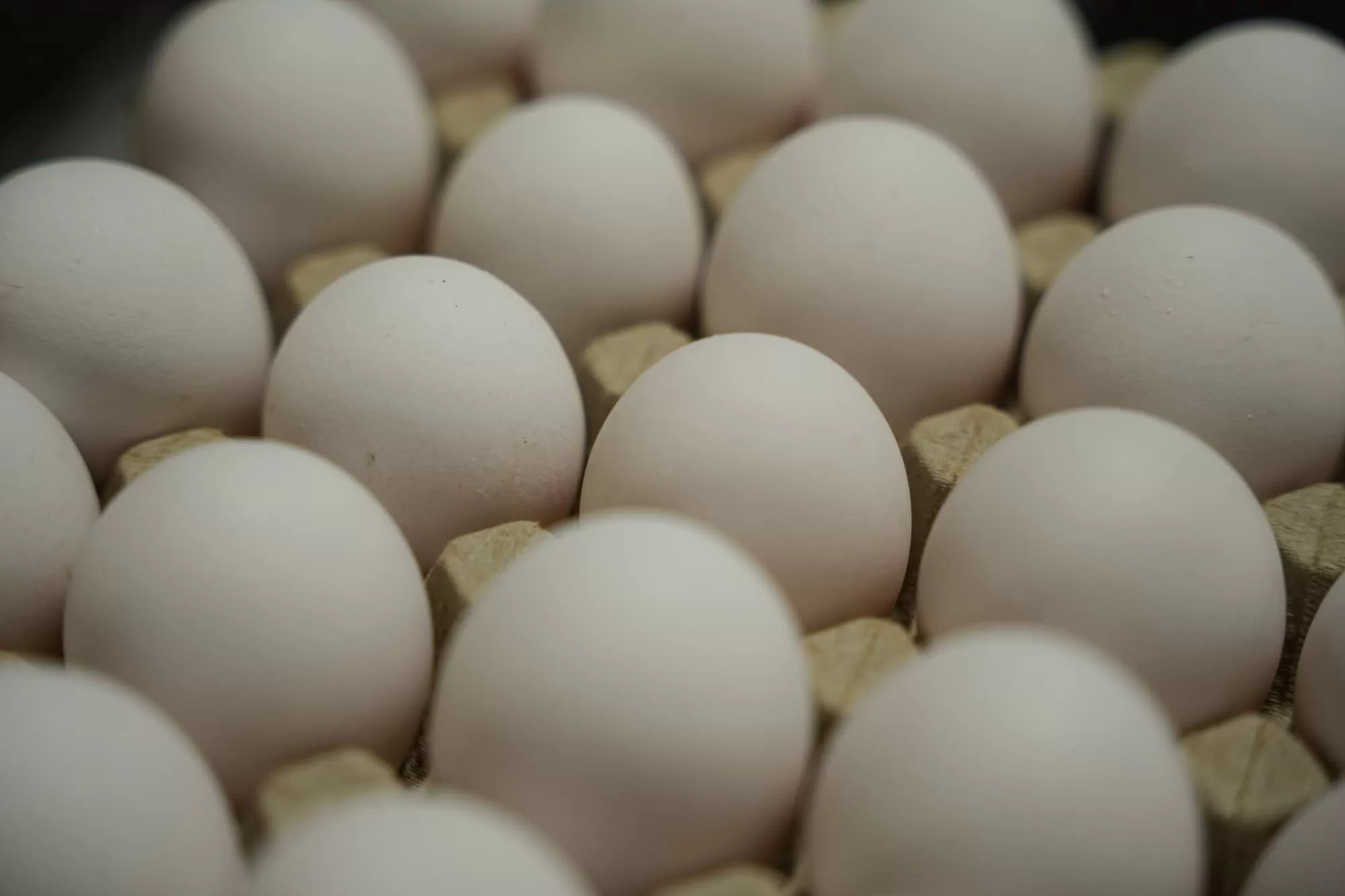 19 Million Eggs Recalled Over Salmonella Risk — FDA Assigns Highest-Danger Classification as Outbreak Spreads to 17 States