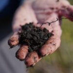 Peatlands Are Storing Our Climate Future — and We're Losing Them Fast