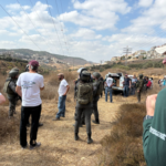 Kansas City Rabbi Detained for Seven Hours After Joining Palestinian Olive Harvest in the West Bank
